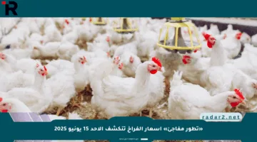 «تطور مفاجئ» أسعار الفراخ تنكشف الأحد 15 يونيو 2025